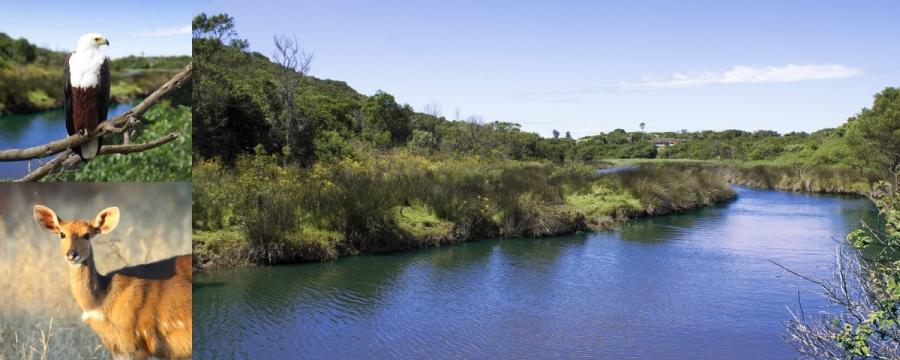 3 Bedroom Property for Sale in Kidds Beach Eastern Cape